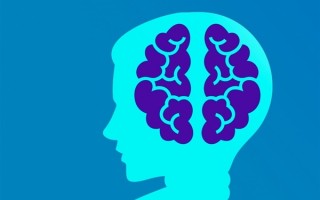 研究称调整脑电波能加速成人学习速度：至少快3倍