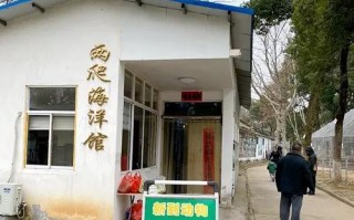 “九斤重大老鼠” 身份查清了 实为海狸鼠最大体长29厘米