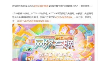 央视网络春晚官宣：王冰冰、董宇辉加盟