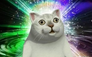 7 行代码让B站崩溃 3 小时，竟因“一个诡计多端的 0”