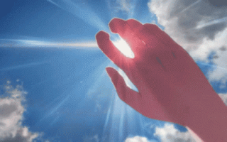 罕见高温入侵全球：美国牛被热死 更极端的却还在后面