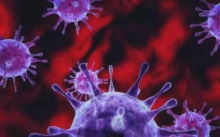 所有人都易感重复感染！诺如病毒高发期：一人中招全家倒霉