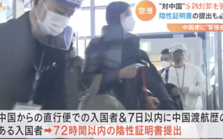 日本发红色挂件标记中国旅客 韩国发黄牌 最终双双被暂停赴华普通签证