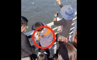 父母帮小男孩抓海鸥强行塞进塑料瓶 网友：熊孩子一定拥有熊家长