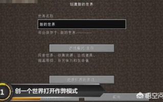 我的世界得头颅攻略？