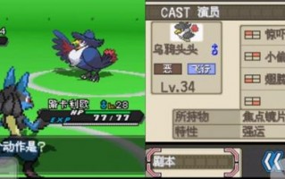 口袋妖怪黑2淡竹男的逆袭电影攻略？