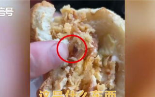 男子华莱士汉堡中吃出蟑螂 商家回应：画面网友看吐 不愧是喷射套餐