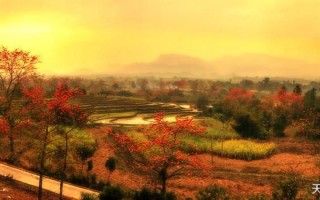 约吗？赏花踏春，情定昌江！（昌江木棉花赏花完整攻略及活动预告）