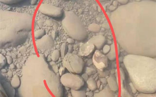 四川疾控回应多地疑现龙线虫：搞错了