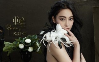 重生之巨星攻略的目录