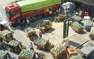 验瓜师月入3万 3秒挑一个西瓜！生瓜熟瓜终于知道咋拍了