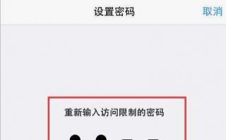 iPhone访问限制密码破解教程