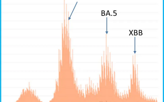 新“毒王”XBB强势来袭：病毒变异不可怕，可怕的是恐慌！