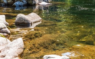 四川仁寿黑龙滩水库露出明代佛像：高温干旱致水位下降所致