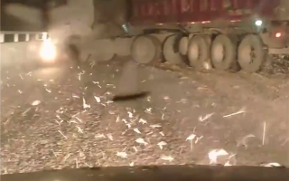 密恐慎入！男子开挖机 玻璃铺满上千蚊虫 被迫停工