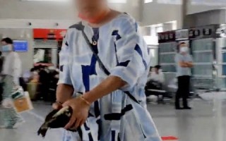 大妈带活鱼坐高铁被阻当场摔死鱼 网友力挺工作人员：密封好完全可以带