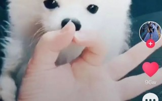 抖音爆款短视频背后的6条原理