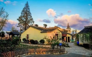 乡村振兴的例子有哪些？