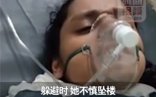 动物凶猛！印度20岁女孩遭群猴攻击：躲避时坠楼被栅栏刺穿