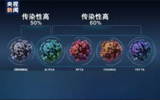 为什么一个病毒株传着传着就没了？