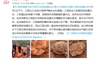 江西武宁发现恐龙蛋化石：距今约7000万年