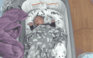 程序员奶爸自制 AI 喂奶检测仪，预判宝宝饿点，不让哭声影响老婆睡眠