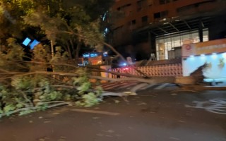 注意防风！北京9级大风：树被吹倒 有建筑停电