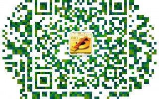 对BBT金币造币机系统的感悟（超透彻的分析）