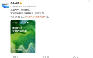 代号“潘塔纳尔”：OPPO公布全新智能跨端系统