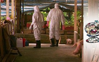 我国又发现1种人畜共患病毒！近亲致死率达92%