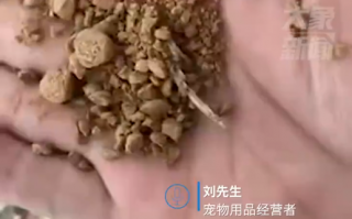 狗主人买廉价狗粮竟掺土和锯末致死亡：频繁呕吐拉稀便秘，最后吐血死亡