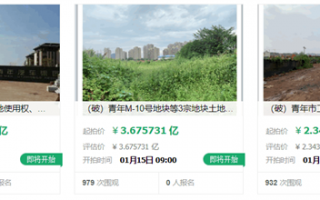 特斯拉最大散户投资者成马斯克头号反对者：连续多日公开炮轰