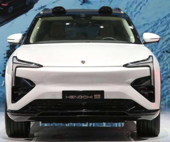 越南地产大佬都做出60万的车了 建议国内这位好好学-第5张图片-9158手机教程网