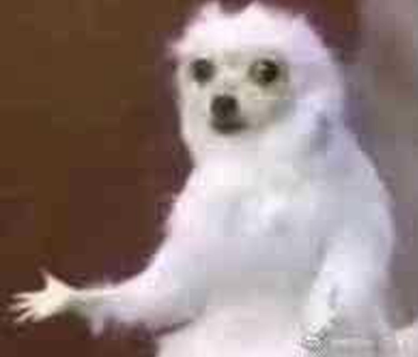 每周只上班4天半!乐视居然成了"反卷斗士":真是神仙日子吗?-第10张图片-9158手机教程网 每周只上班4天半!乐视居然成了"反卷斗士":真是神仙日子吗?-第10张图片-9158手机教程网