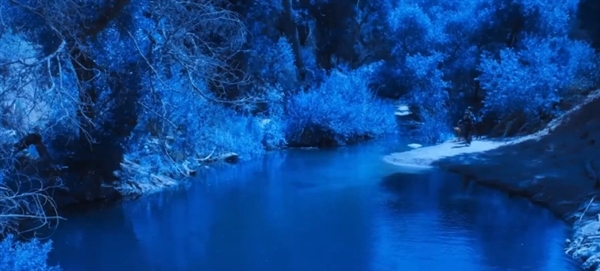 《阿凡达2》 已经被“烂片之王”翻拍了：豆瓣居然全5星-第4张图片-9158手机教程网