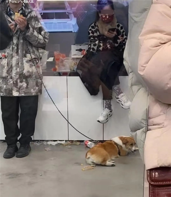 成都车主“0元购”引热议 此前还有维权车主要平分特斯拉股权-第1张图片-9158手机教程网