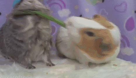 2.5亿年前 96%的物种突然消失！中国学者有了重大发现-第6张图片-9158手机教程网