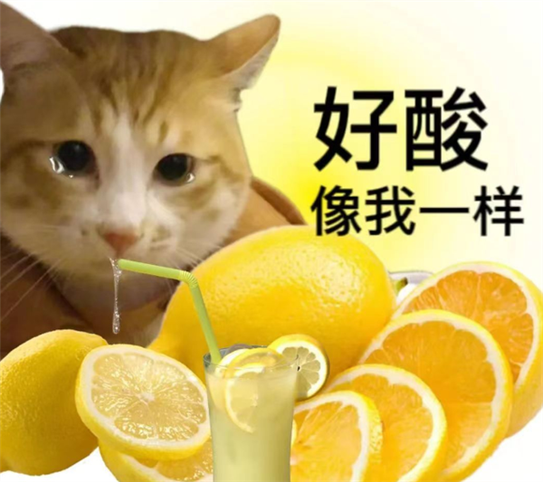 今天让孙悟空穿西装 百度明天要干啥？我想都不敢想-第12张图片-9158手机教程网