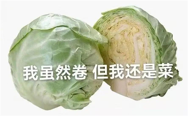 会员费一年涨价90%！没想到 4S店成了汽车App的韭菜田-第19张图片-9158手机教程网