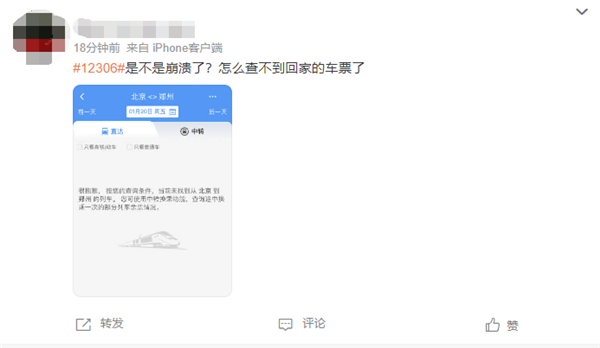 12306出现故障无法查车次 客服回应：网络问题 建议多次刷新-第1张图片-9158手机教程网