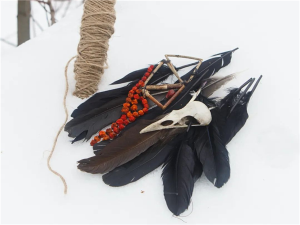 从“神鸟”到“凶鸟”：几千年来乌鸦到底经历了什么？-第5张图片-9158手机教程网