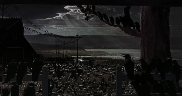 从“神鸟”到“凶鸟”：几千年来乌鸦到底经历了什么？-第10张图片-9158手机教程网