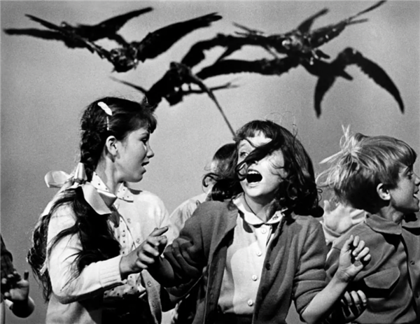 从“神鸟”到“凶鸟”：几千年来乌鸦到底经历了什么？-第16张图片-9158手机教程网