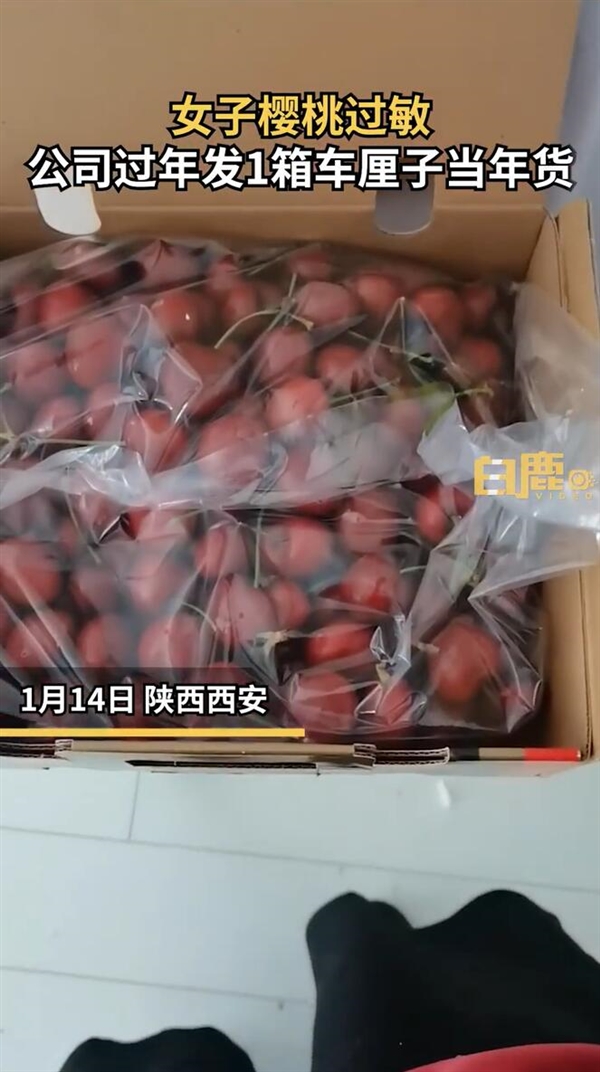 女子樱桃过敏公司年货发1箱车厘子：本来很期待公司的过年礼物-第1张图片-9158手机教程网