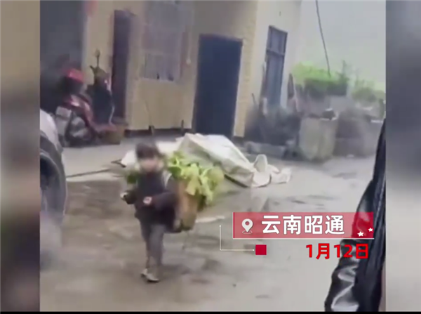 “背菜女孩”家人回应1年赚20万 不穷：虚构博眼球视频应被整治 侵犯肖像权-第1张图片-9158手机教程网