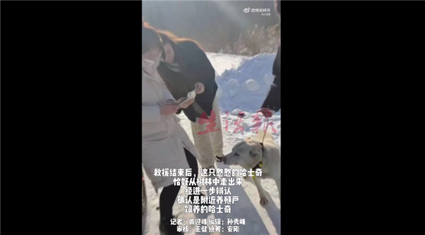 女子误把二哈当狼哭着报警 网友笑趴：哈士奇遇到伯乐了-第2张图片-9158手机教程网