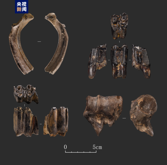 距今4万多年!四川资阳濛溪河遗址有新发现!-第2张图片-9158手机教程网 距今4万多年!四川资阳濛溪河遗址有新发现!-第2张图片-9158手机教程网