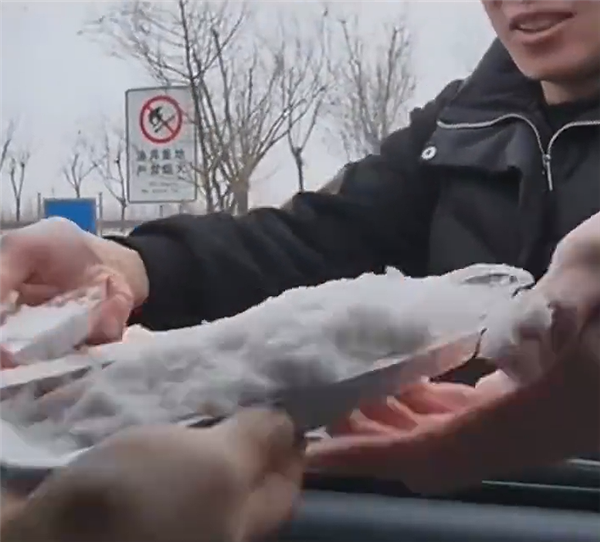小朋友把山东的雪带回福建：半路化了 崩溃大哭-第1张图片-9158手机教程网