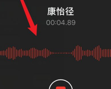 苹果手机打材兰电话录音功能在哪里?-第4张图片-9158手机教程网