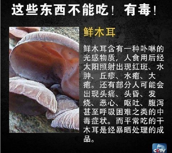 网友在山姆买到剧毒蓝环章鱼 央视科普：这几样常见食物也不能吃-第6张图片-9158手机教程网